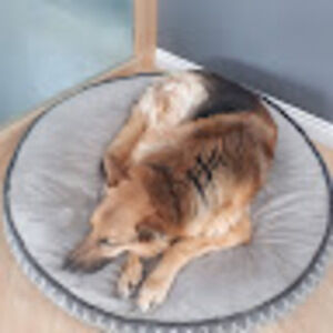 Meet your Posher, Sasha & saskia